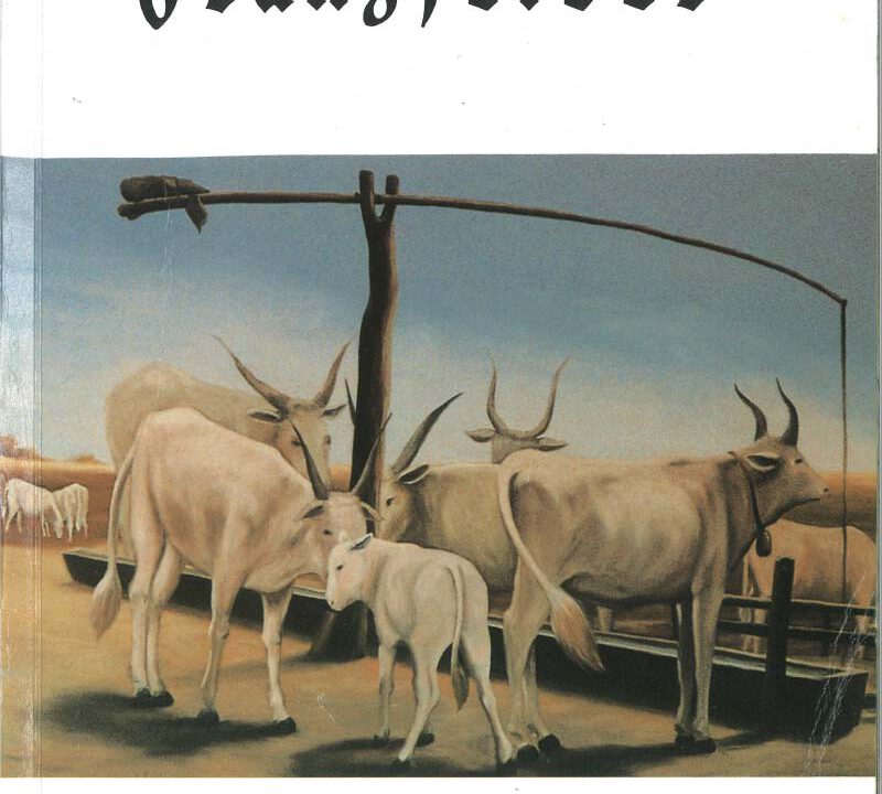 Titelbild Franzfelder Kalender 1996