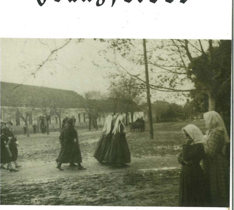 Titelbild Franzfelder Kalender 1994